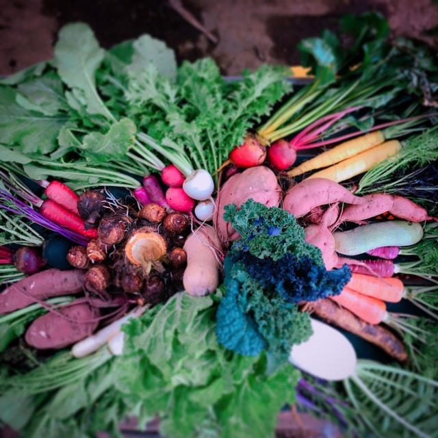 menu farm 2