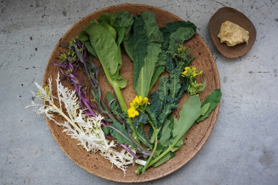 和洋折衷 ~水無月~ 野菜が主役の和食